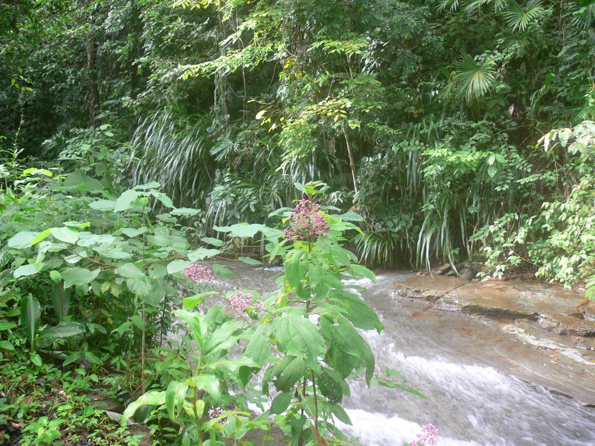 Waterfall Villas Baru Eksteriør bilde